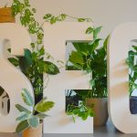 Search Engine Optimization